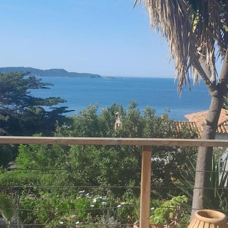 F3 Rdc Villa Vue Mer 180 Face A La Pointe De Giens Carqueiranne Dış mekan fotoğraf